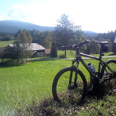 Ferienhaus Mit Seeblick Waldkirchen Extérieur photo