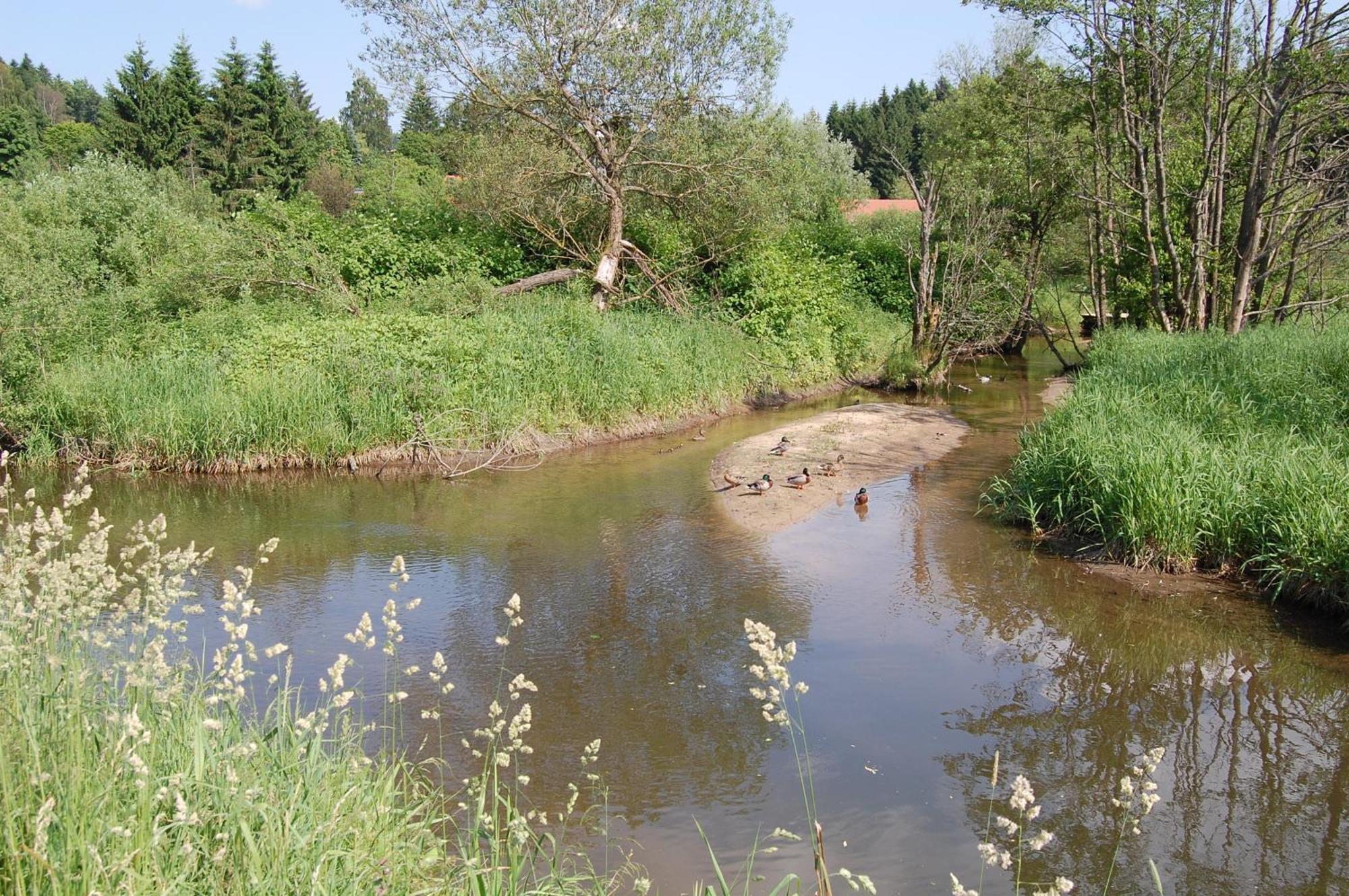 Ferienhaus Mit Seeblick Waldkirchen Extérieur photo